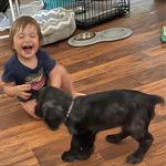 Chris Barry Hodges - @chrishodges71 - Instagram
