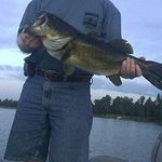 Barry Hoffman - @barry.w.hoffman - Instagram