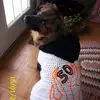 Barry Hoffman - @barry.hoffman0 - TikTok