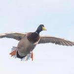 Barry Hood - @barryhood - Instagram