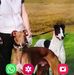 Barry Hooper - Facebook