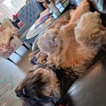 Barry Horn - @horn1462 - Instagram