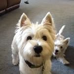 barry houck - @barry.houck - Instagram