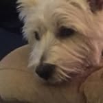 Barry Houck - @houckbarry - Instagram
