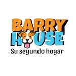 Barry - @barryhouse_oficial - Instagram