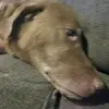 barryjanz143 - @barryjanz143 - TikTok