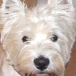 Barrie Jarrett - @barriejarrett - Instagram