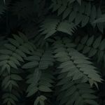 Barry Jasper - @barryjasper8 - Instagram