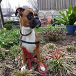 Barry Jeffries - @jeffriesbarry - Instagram