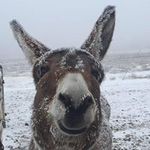 Barry Jensen - @three3threes - Instagram