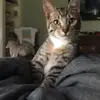 barryjoinerjr - @barryjoinerjr - TikTok