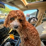 Barry Gene Judd - @dngrclse - Instagram