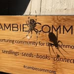 Barry Jung - @cambiecommons - Instagram