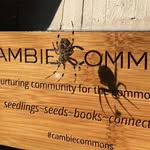 Barry Jung - @ca.mbiecommons - Instagram