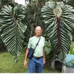 Barry Schwartz - @junglebarry1 - Instagram