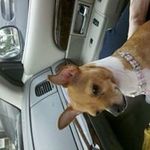 Barry Kahane - @barrykahane - Instagram
