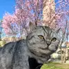 Barry - @barrykater - TikTok