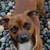 Barry Keen - @barry.keen00 - TikTok