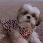 Barry Keith - @barry.keith.182 - Instagram