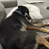 barikellam - @barikellam260 - TikTok