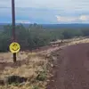 big bear - @barrykelnhofer - TikTok
