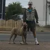 Baz - @barrykerrigan1 - TikTok