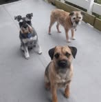 Barry Kerwin - Facebook