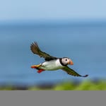 Barry Kind - @barrykind - Instagram