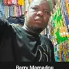 mamadoubarry74126 - @barrykindiamamadou - TikTok