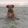 barrykoster_xx - @barrykoster_xx - TikTok