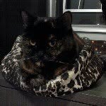 Barry Kwok - @mumemibb - Instagram