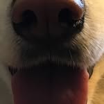 Barry kwok - @barrykwok611 - Instagram