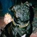Barry Lacey - Facebook