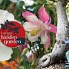 Barry Lacey bonsai - @barrylacey6 - TikTok