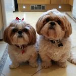 Barry Lancaster - @barrylancaster2 - Instagram