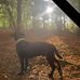 Barry Large - Facebook