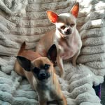 Barry Large - @barry_large - Instagram