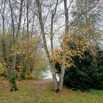 Barry Layton - @barry_layton - Instagram