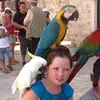 Leah - @leahbarryyy - TikTok
