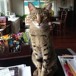 Barry Leake - @quitstaring - Instagram