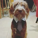 @barry_leathem - Instagram