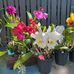 Barrie Leedham - Facebook