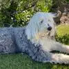 Barry Leeson - @barry.leeson - TikTok