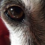 Barry Legg - @legg_barry - Instagram