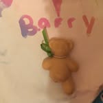 Barry=Legend🤙🏽💙 - @barrytheoneleggedbear - Instagram