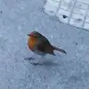 barryleighton6 - @barryleighton6 - TikTok
