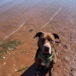 Barry blue lenz - @bear_bear_lenz - Instagram