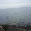Barry Leopolds - @barryleopolds - TikTok