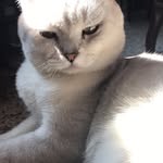 Barry - @barr_yliang - Instagram