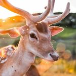 Barry Liang - @barrylianggg - Instagram